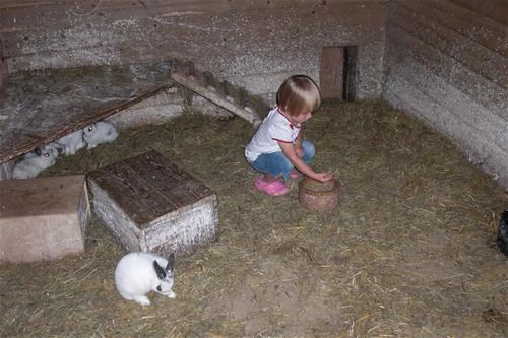 Ferienhof & Camping Zur Hasenkammer