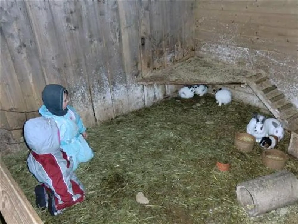 Ferienhof & Camping Zur Hasenkammer