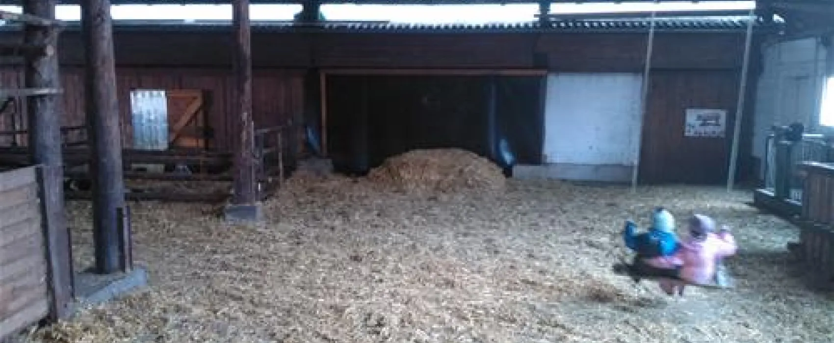 Ferienhof & Camping Zur Hasenkammer