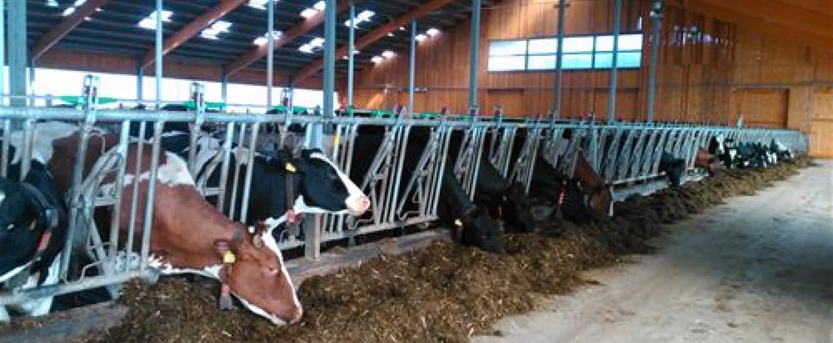 Ferienhof & Camping Zur Hasenkammer