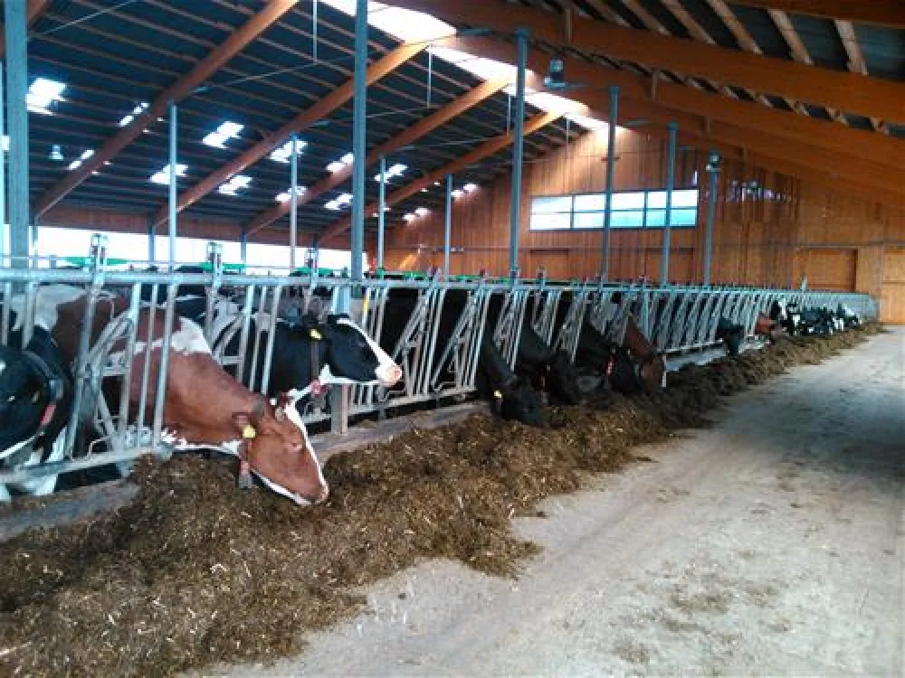 Ferienhof & Camping Zur Hasenkammer