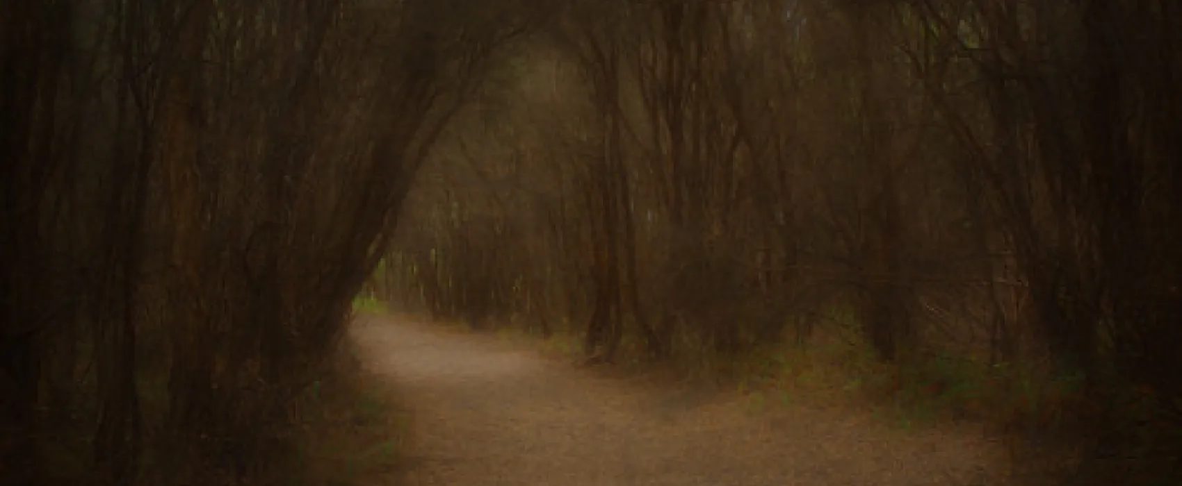 Binn Beach Campground