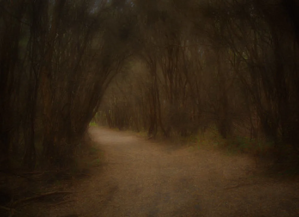 Binn Beach Campground