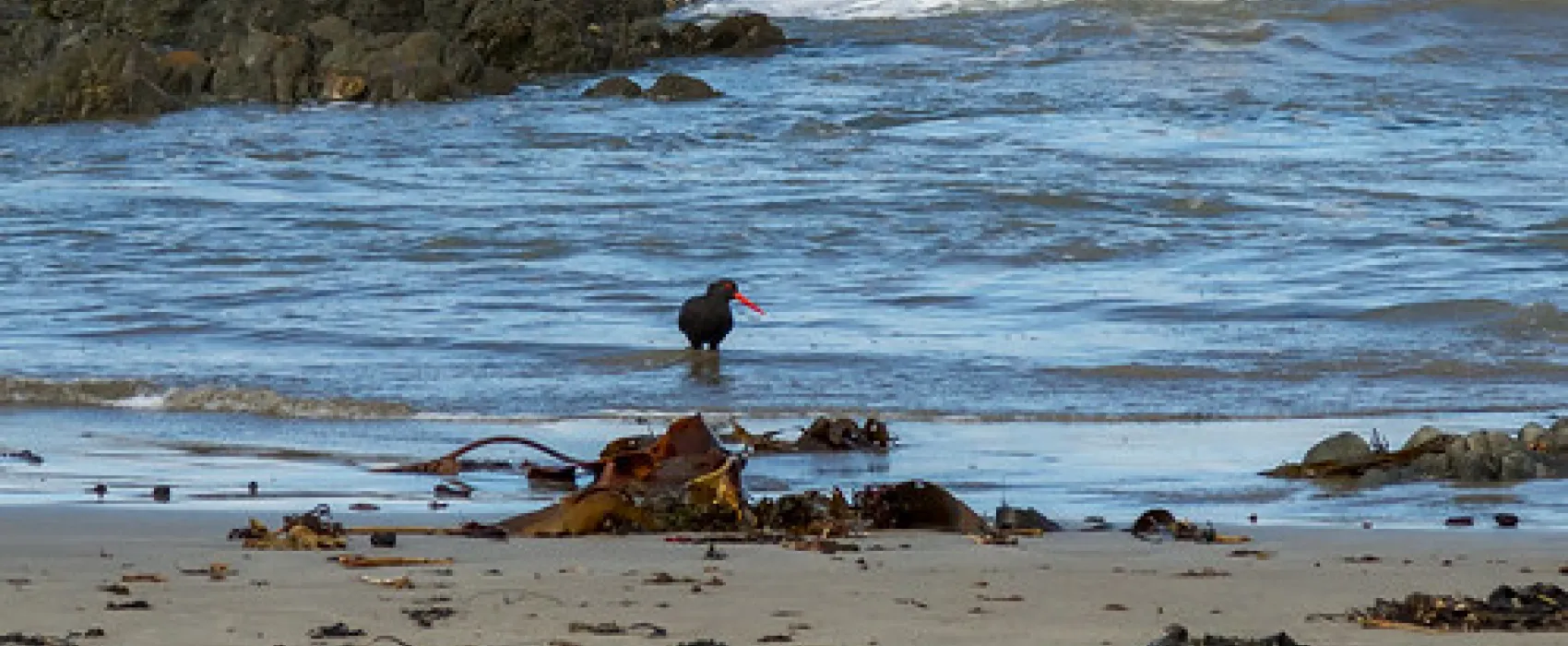 Binn Beach Campground