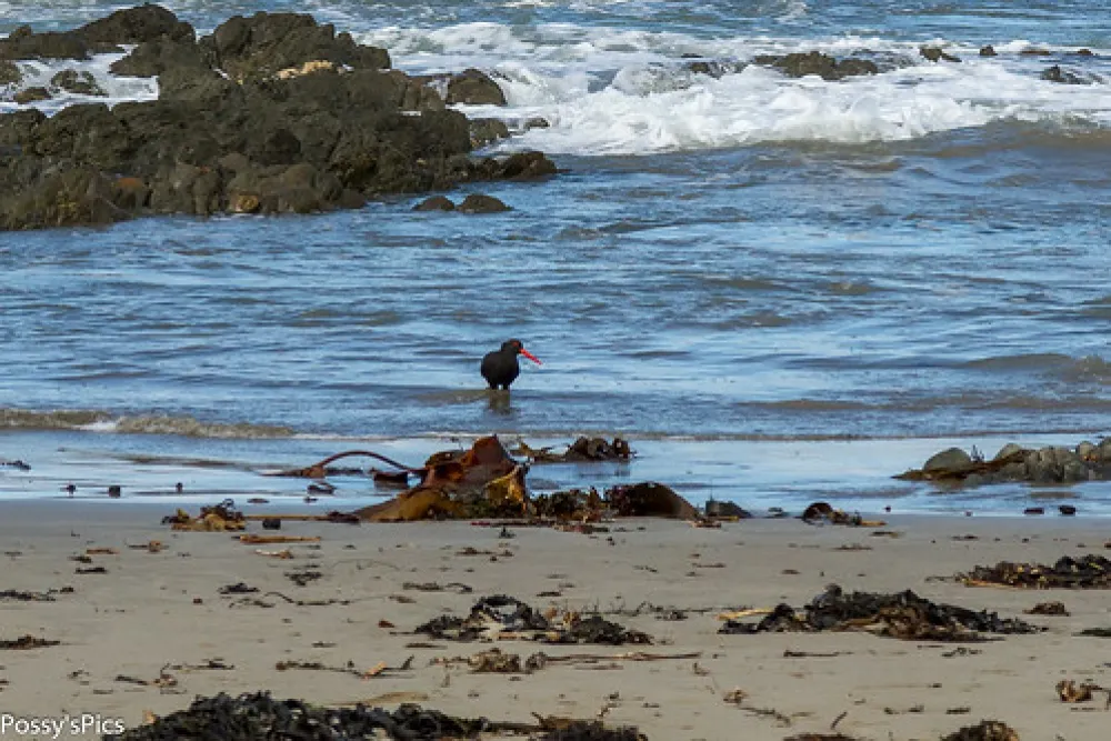 Binn Beach Campground