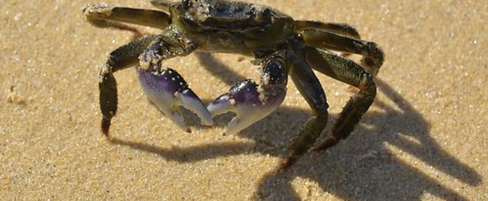 Binn Beach Campground