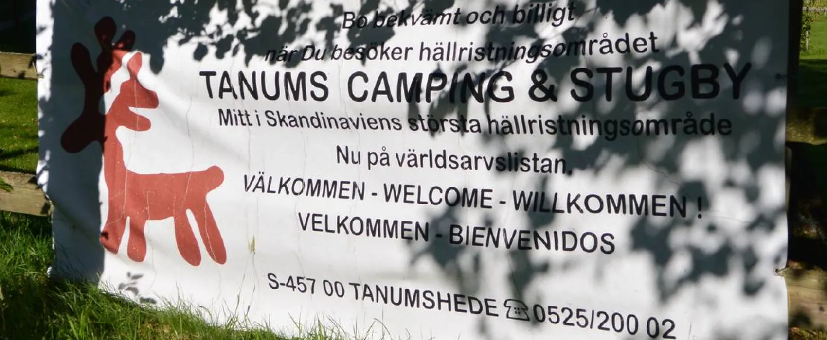 Tanums Camping & Stugby