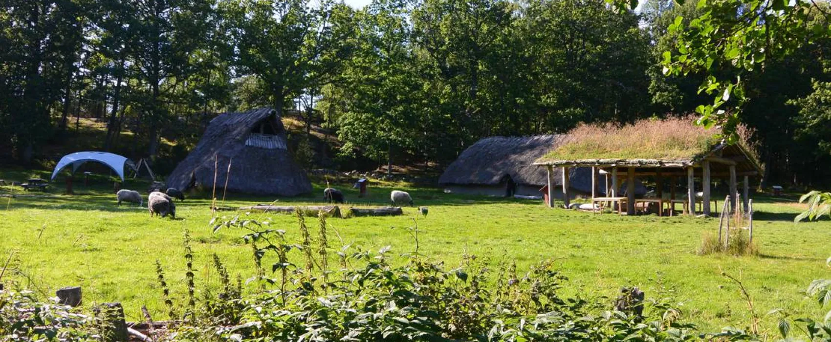 Tanums Camping & Stugby