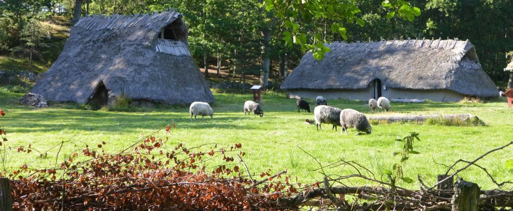 Tanums Camping & Stugby