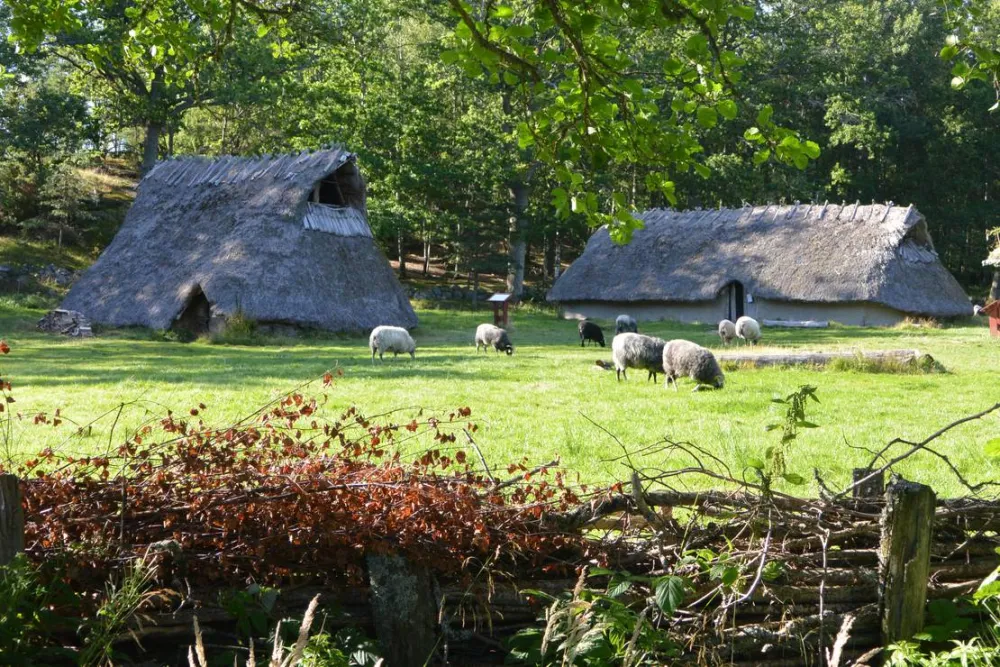 Tanums Camping & Stugby