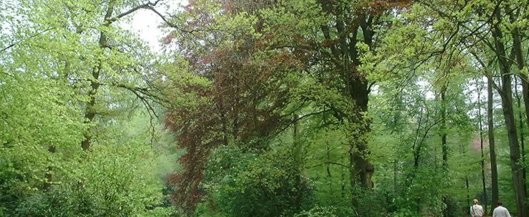 Boerderijcamping 't Heeterveen