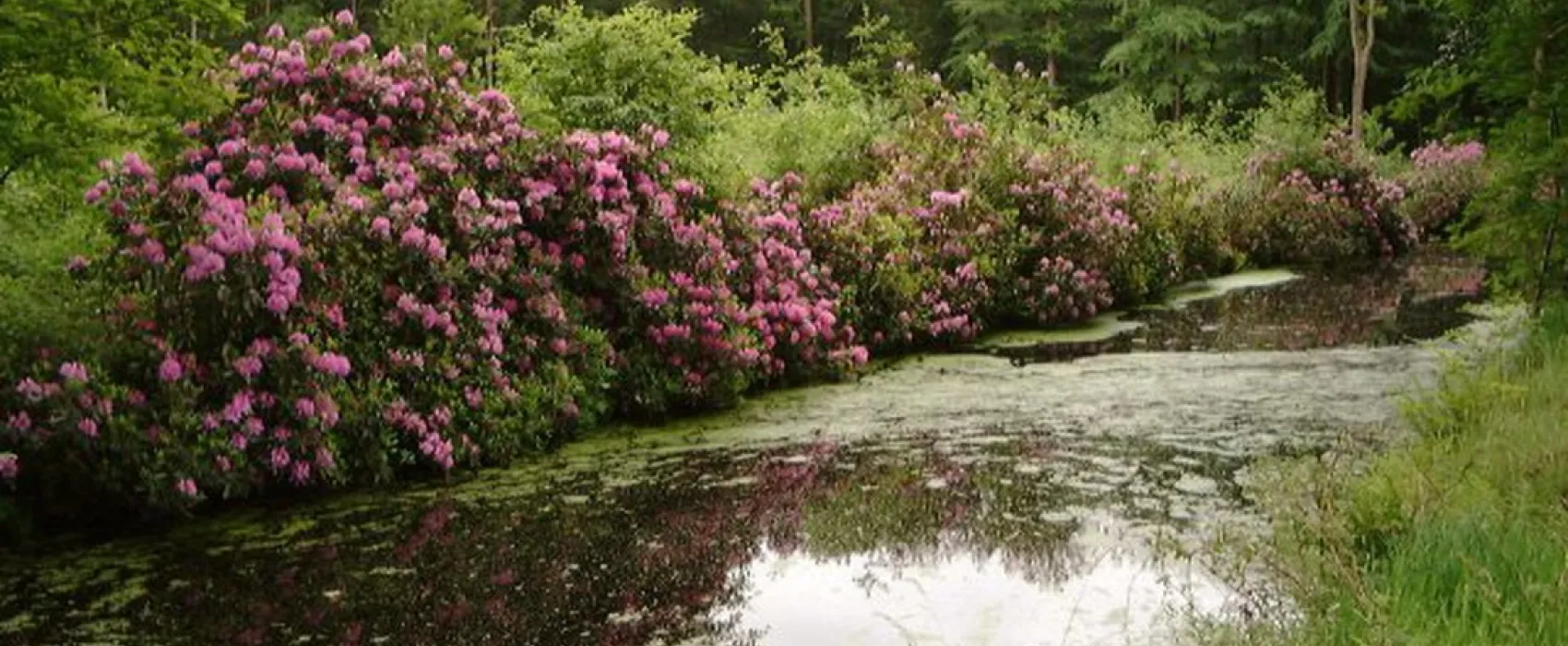 Boerderijcamping 't Heeterveen