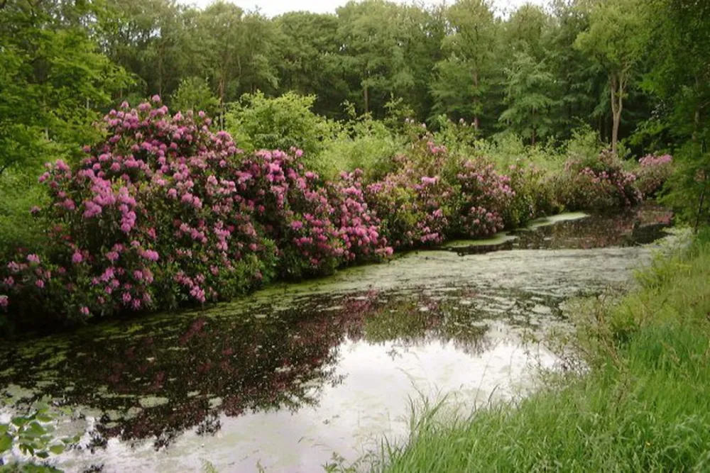 Boerderijcamping 't Heeterveen