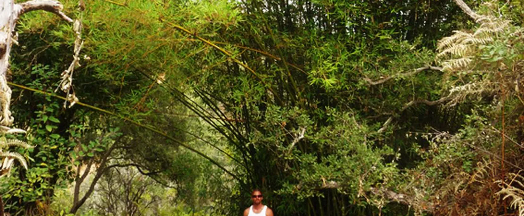 Casas Novas da Palmeira