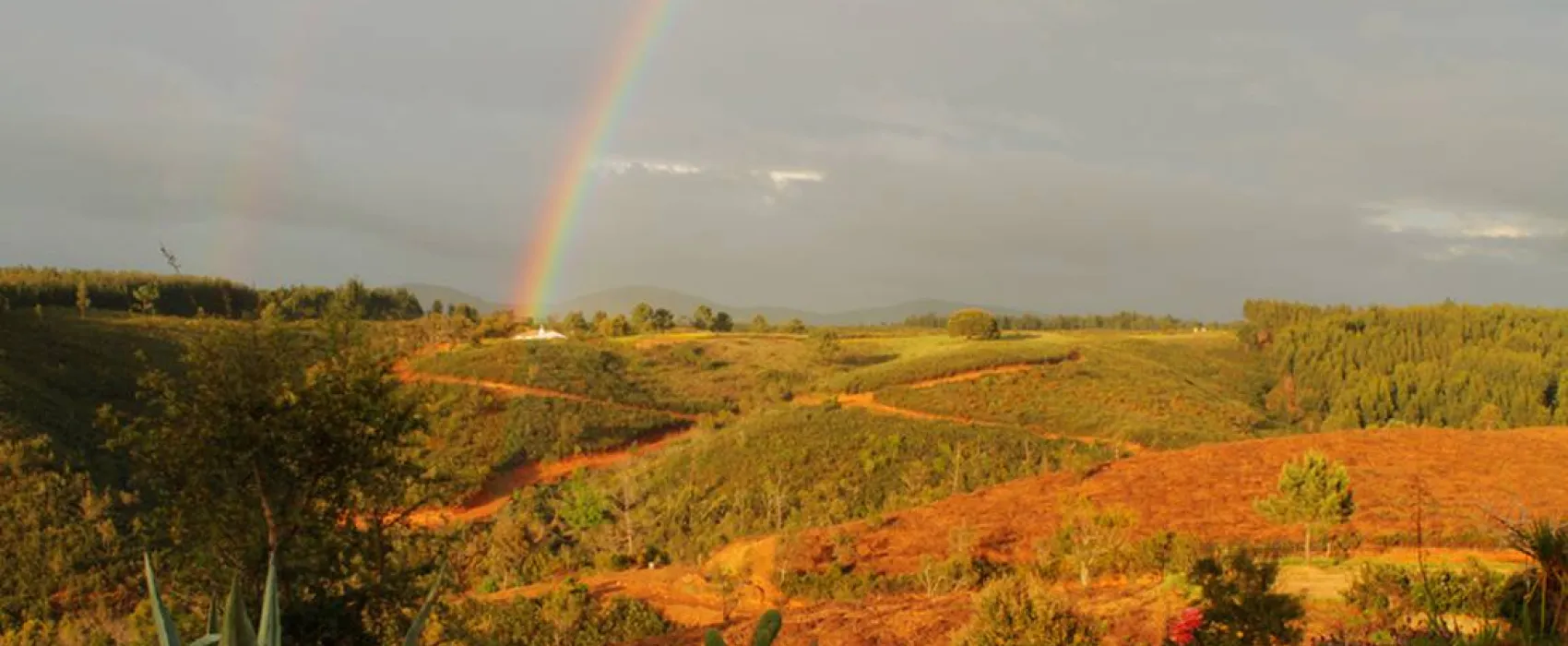 Casas Novas da Palmeira