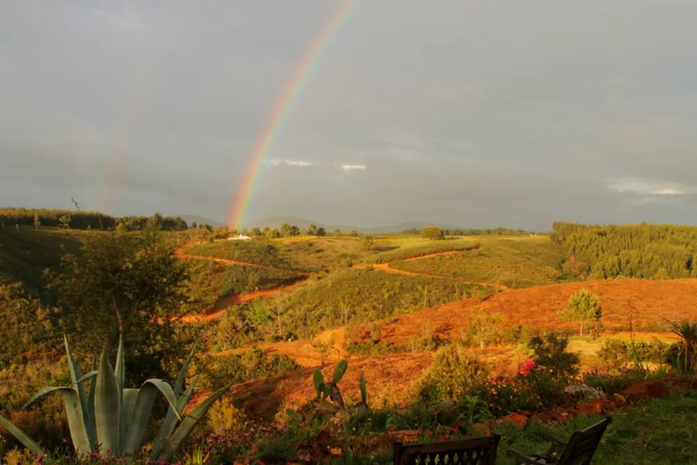 Casas Novas da Palmeira