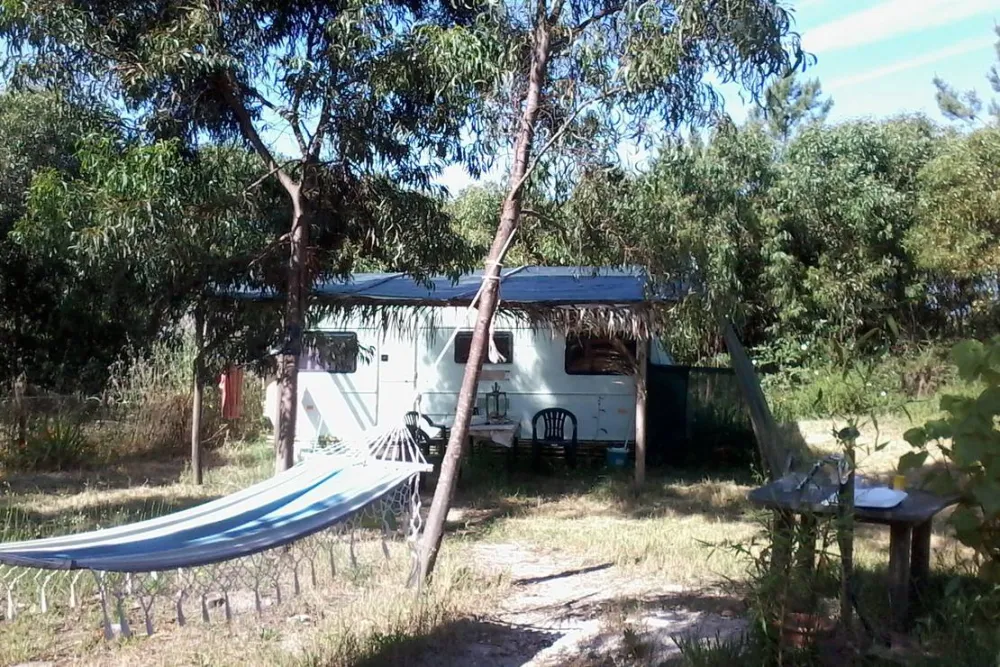 Casas Novas da Palmeira