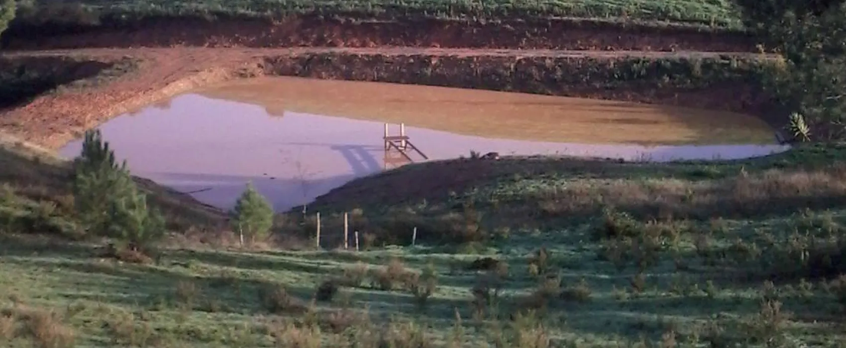 Casas Novas da Palmeira