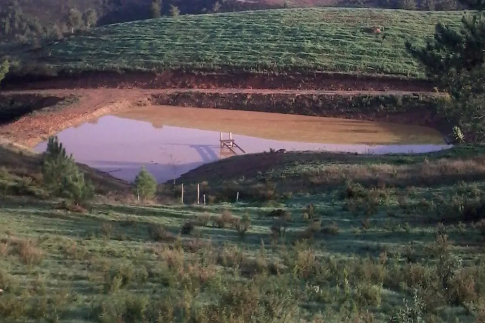 Casas Novas da Palmeira