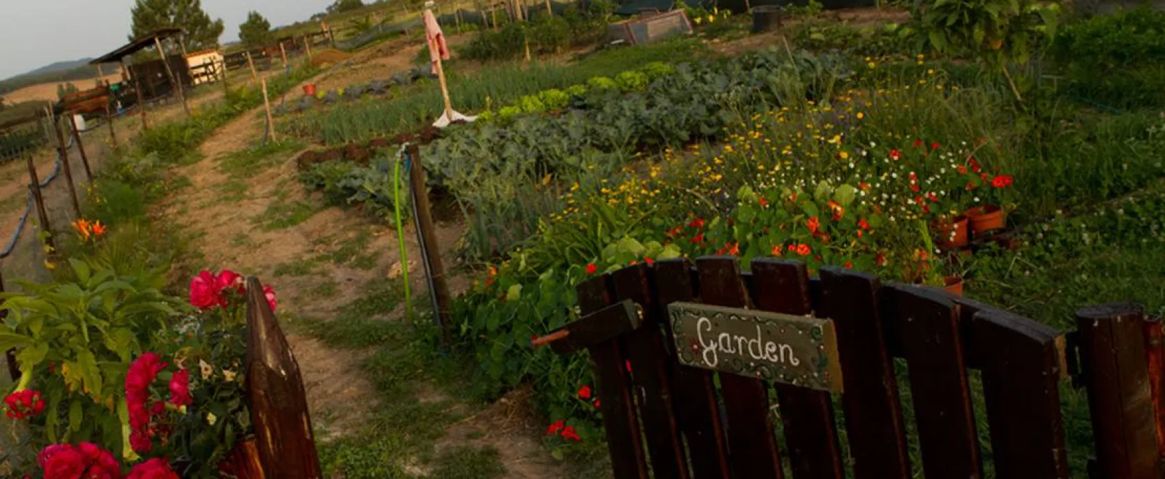 Casas Novas da Palmeira