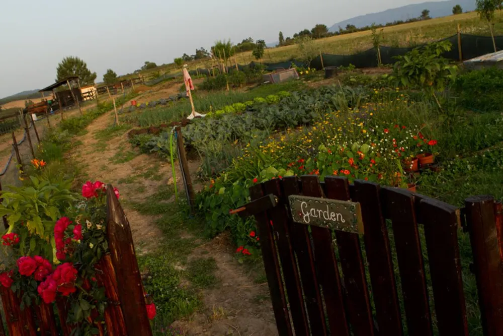 Casas Novas da Palmeira