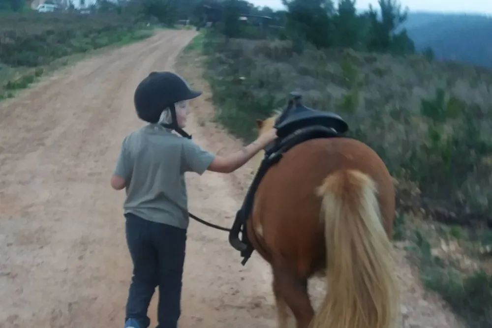 Casas Novas da Palmeira