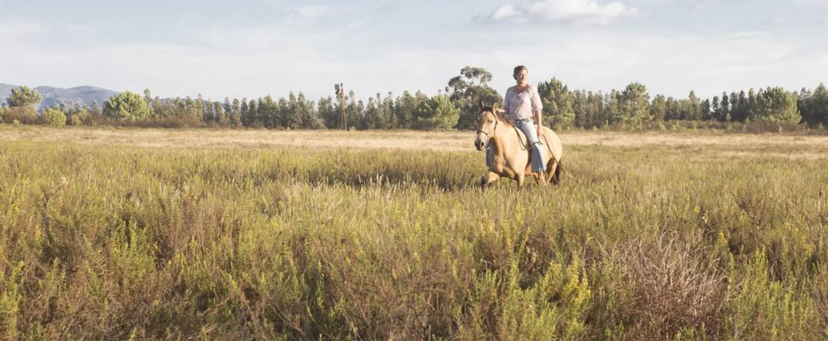 Casas Novas da Palmeira