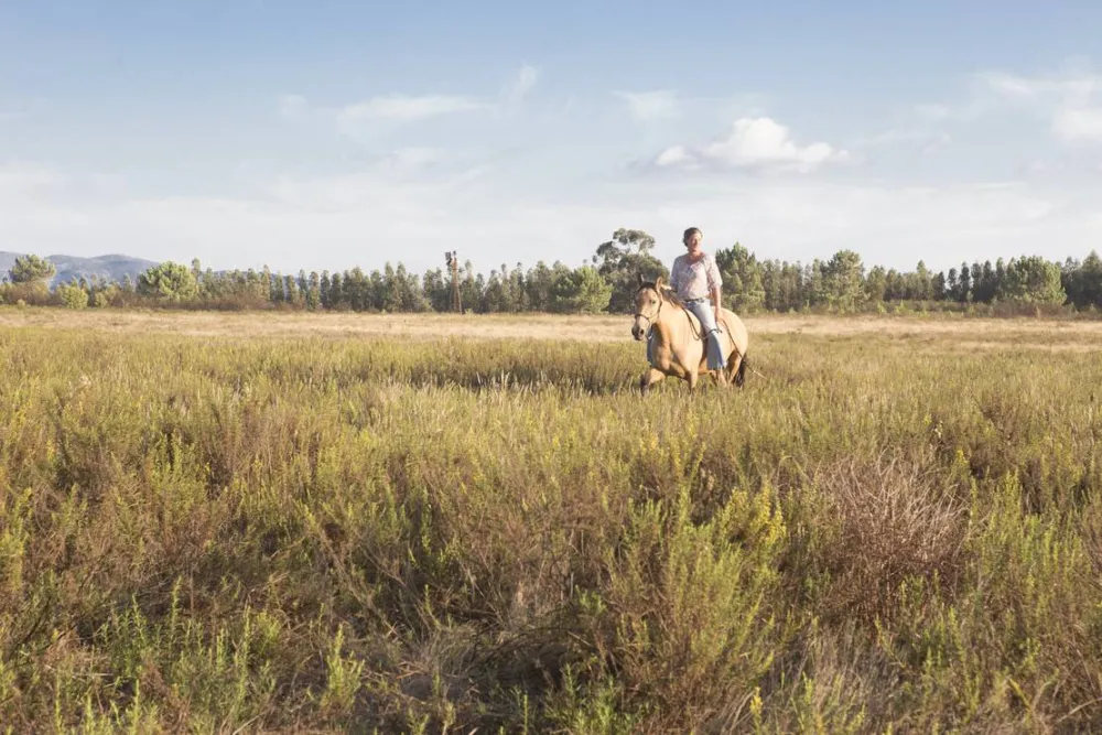 Casas Novas da Palmeira