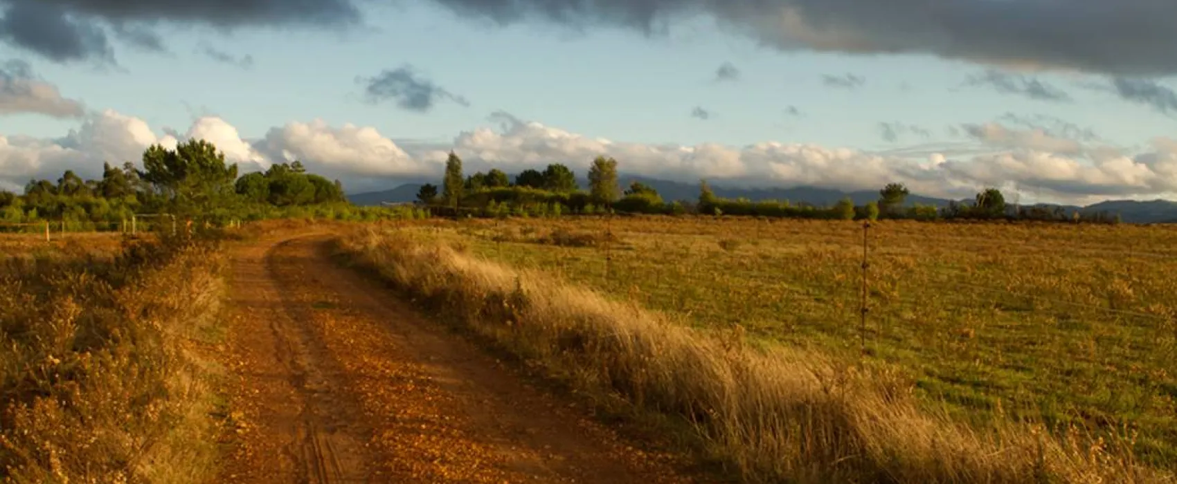 Casas Novas da Palmeira