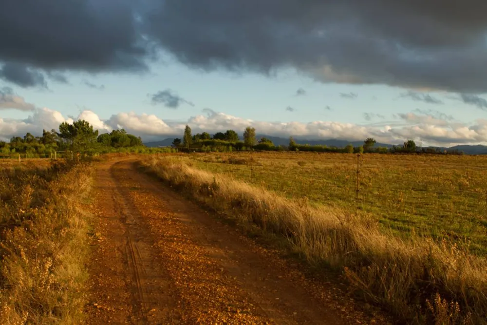 Casas Novas da Palmeira