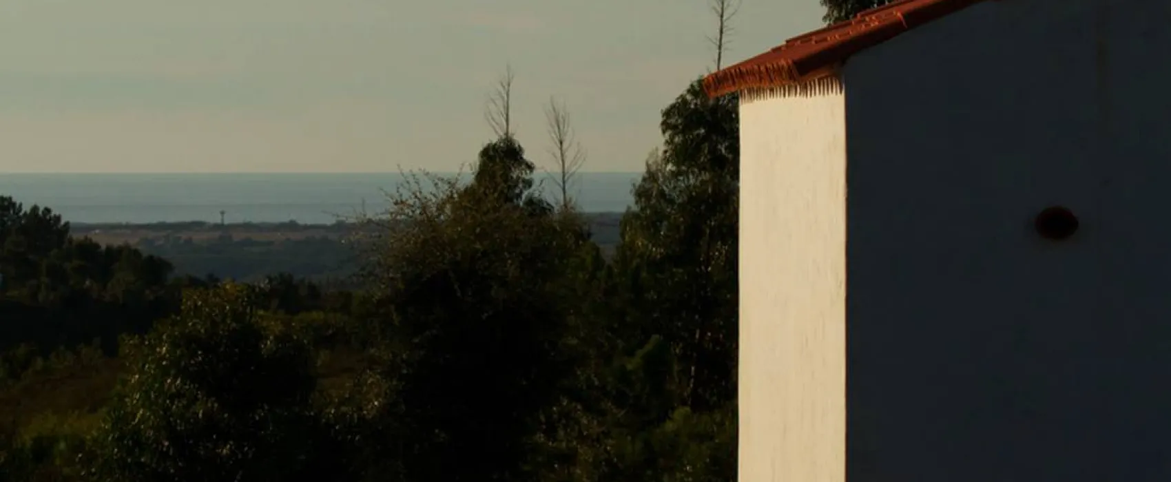 Casas Novas da Palmeira