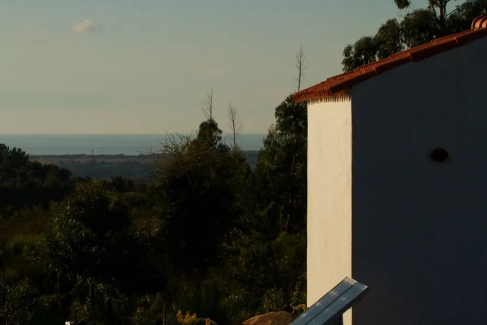 Casas Novas da Palmeira