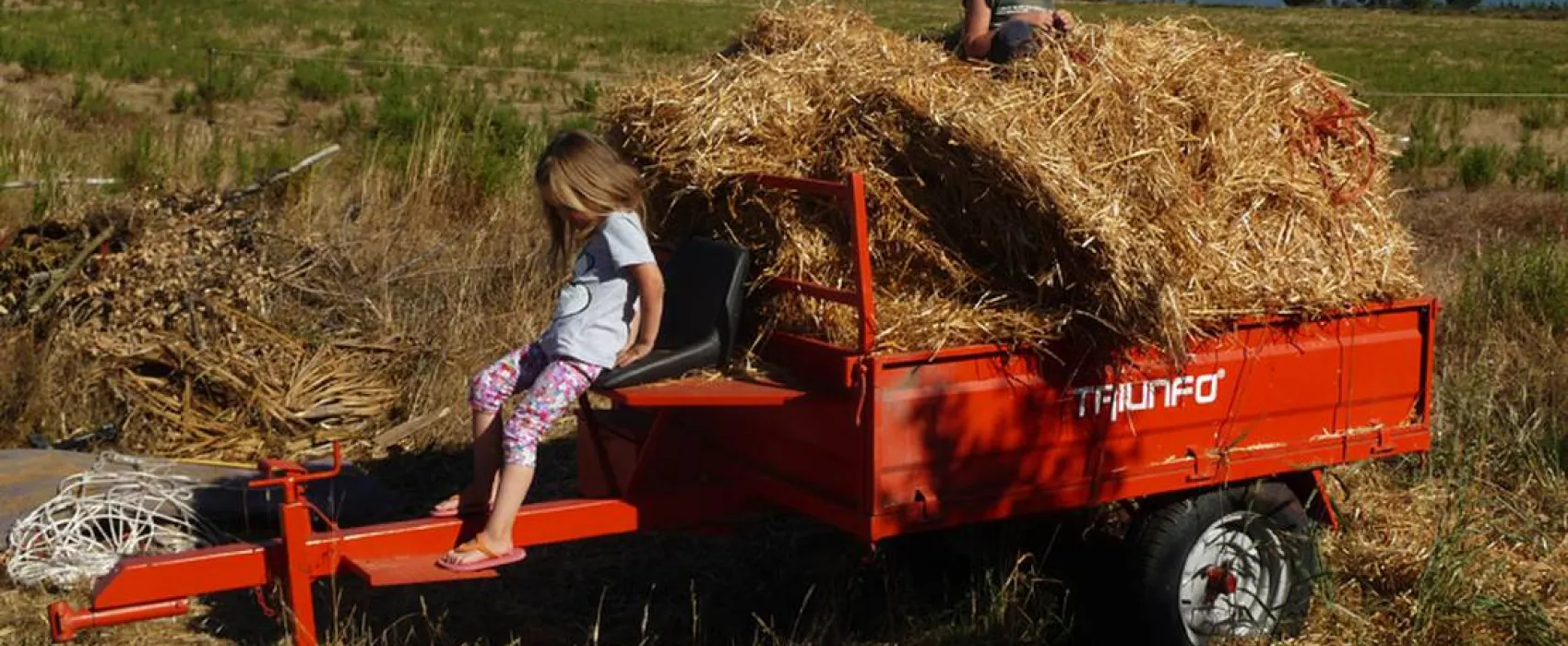 Casas Novas da Palmeira