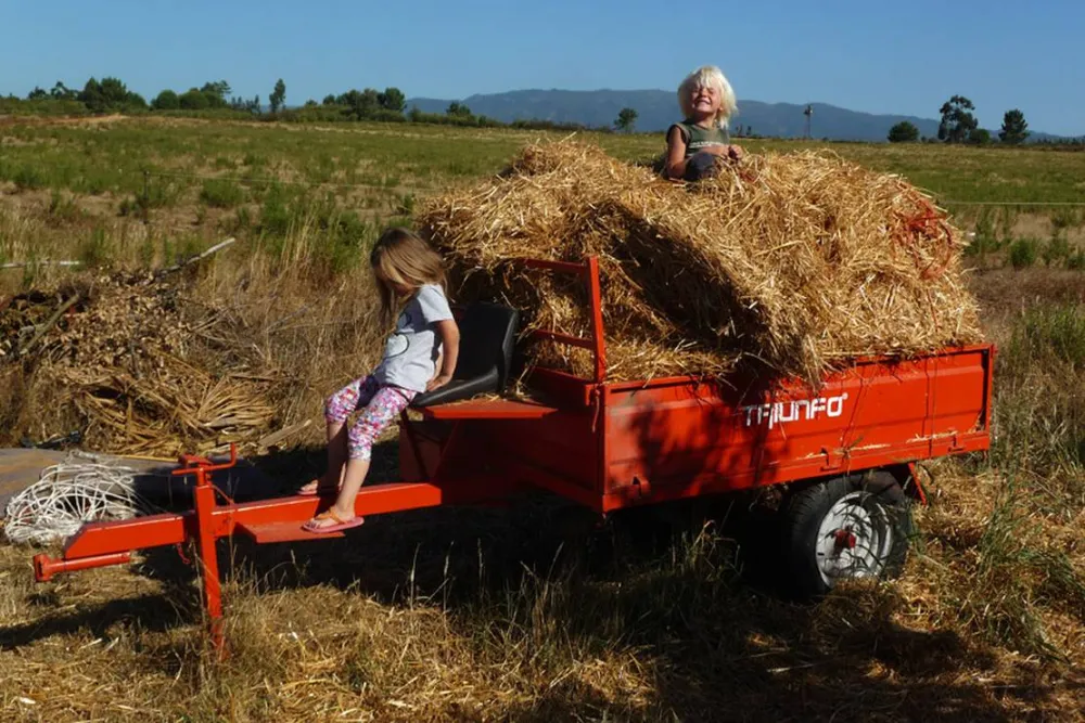Casas Novas da Palmeira
