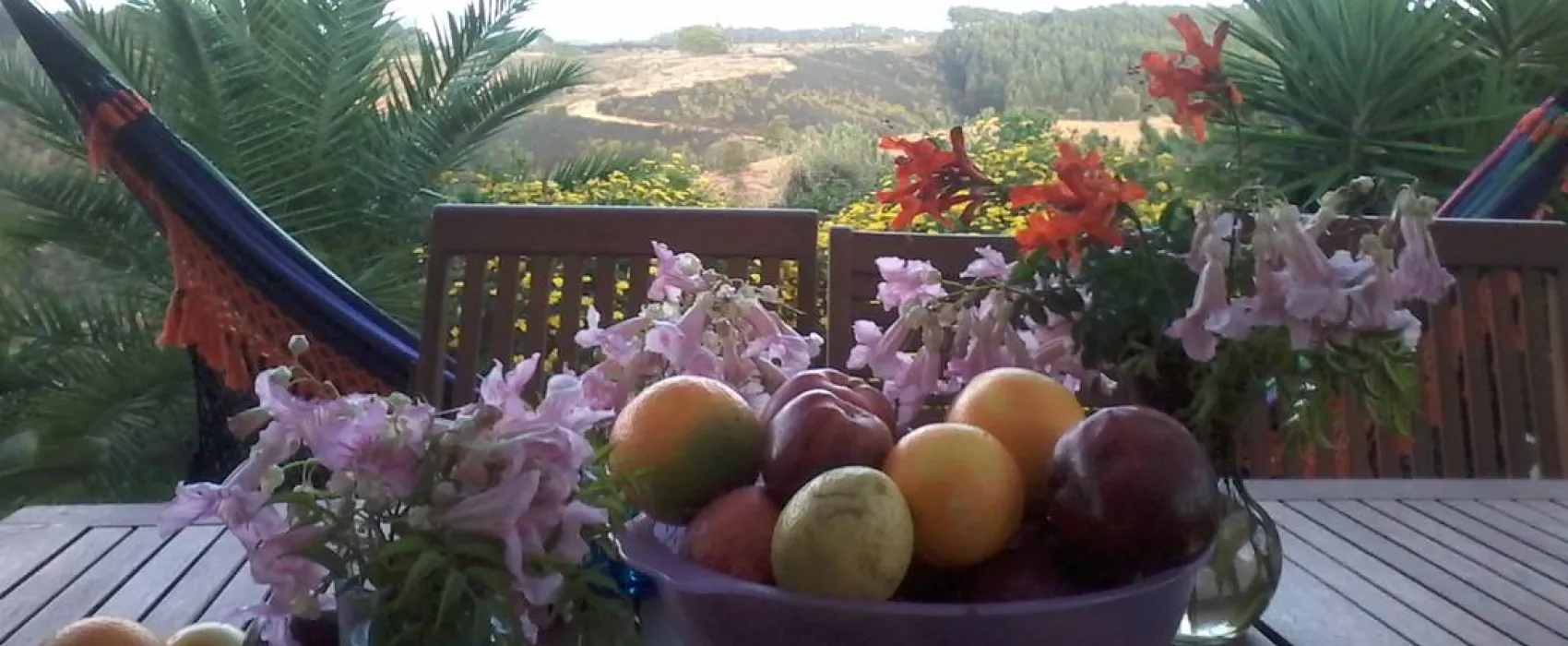 Casas Novas da Palmeira