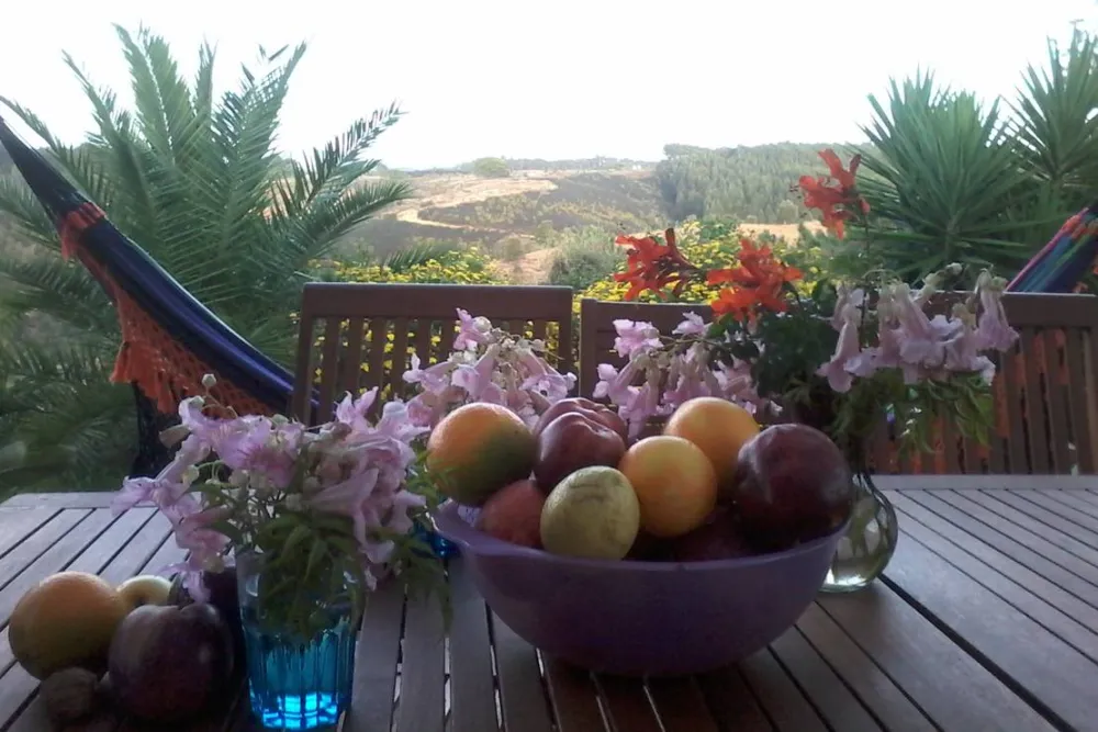 Casas Novas da Palmeira