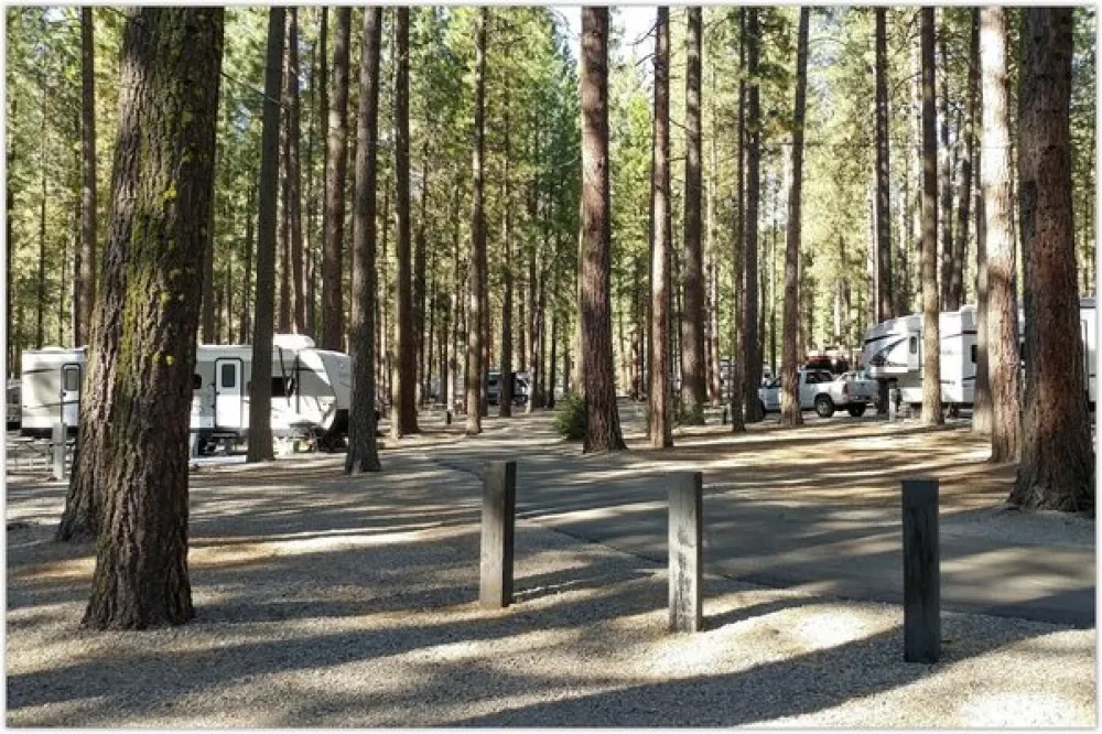 Little Bear RV Park