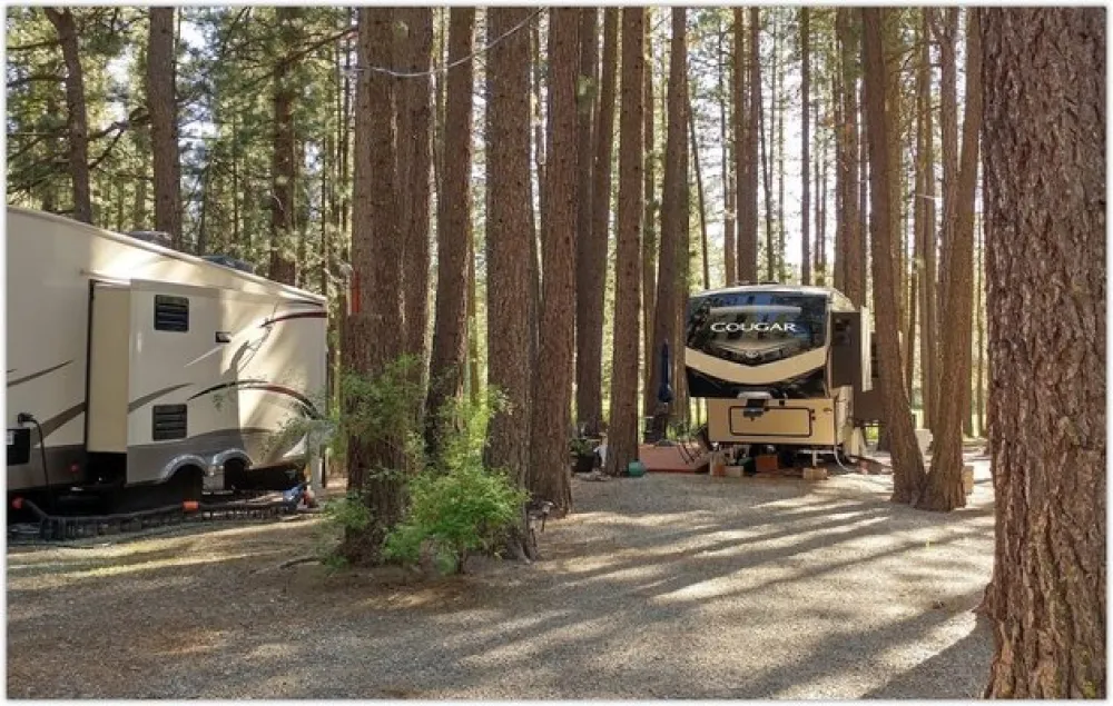 Little Bear RV Park
