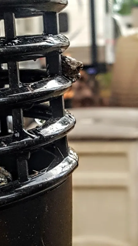 Schaun Acres Campground