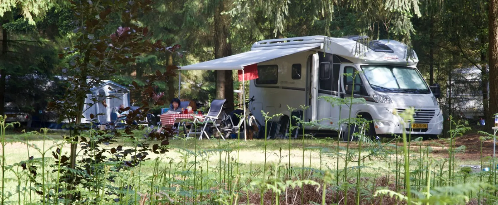 Landgoed Börkerheide