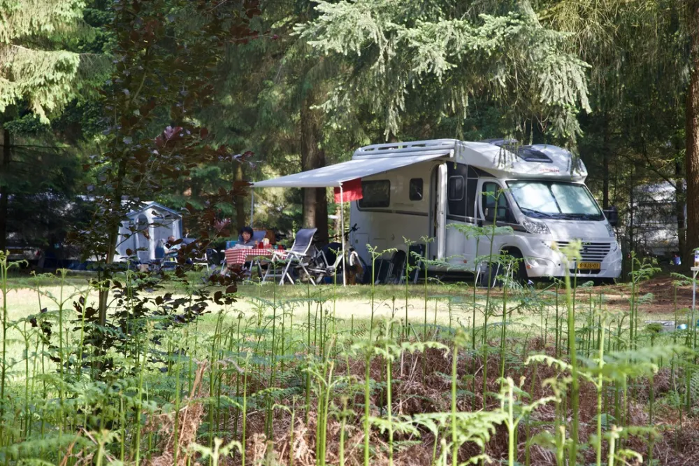 Landgoed Börkerheide