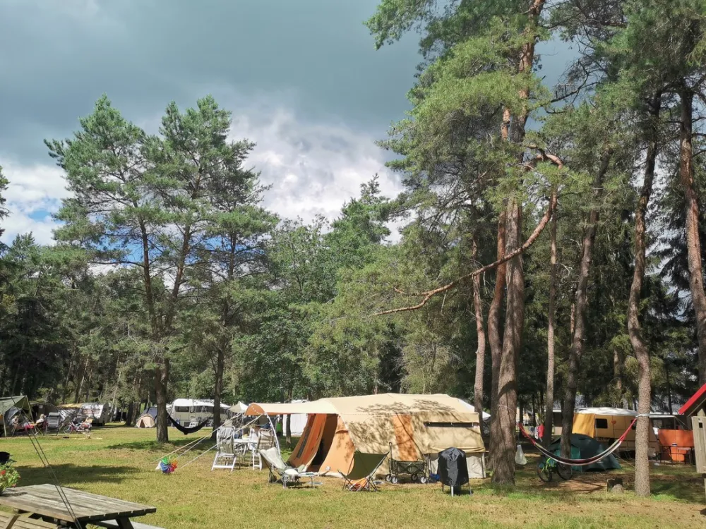 Landgoed Börkerheide