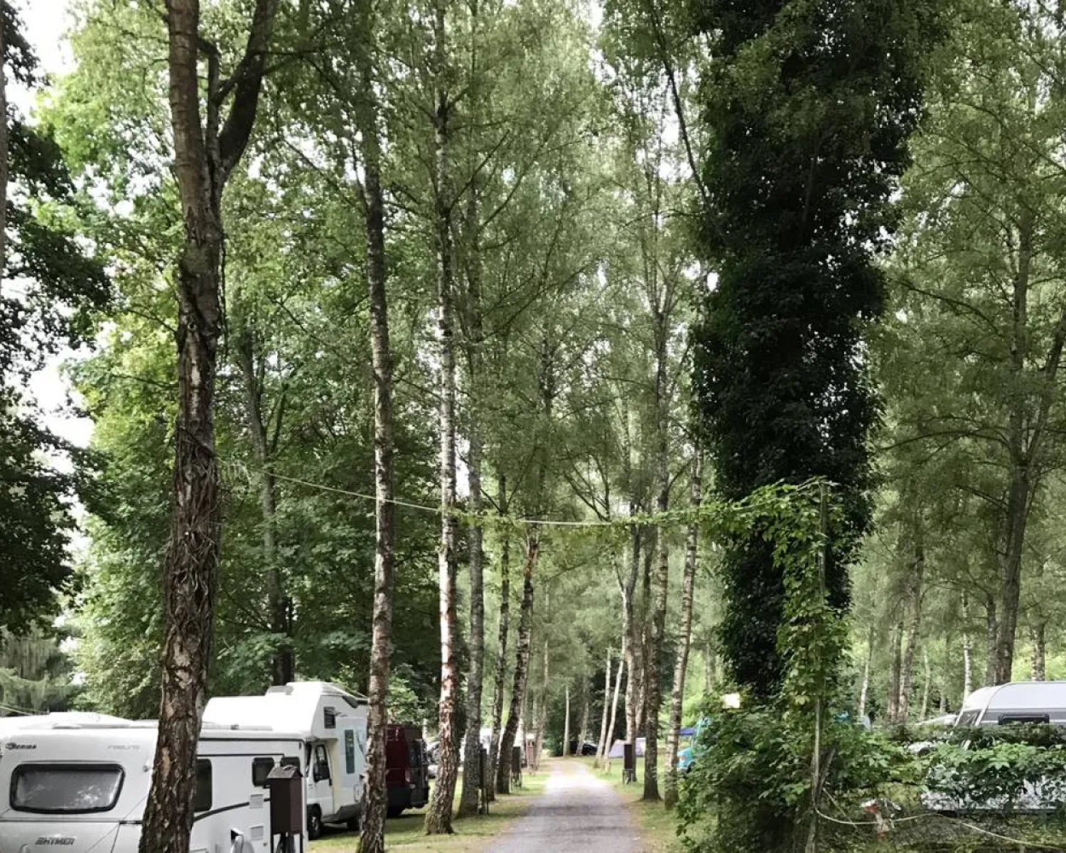 Camping Forelle in Germany - Spottocamp - Spottocamp