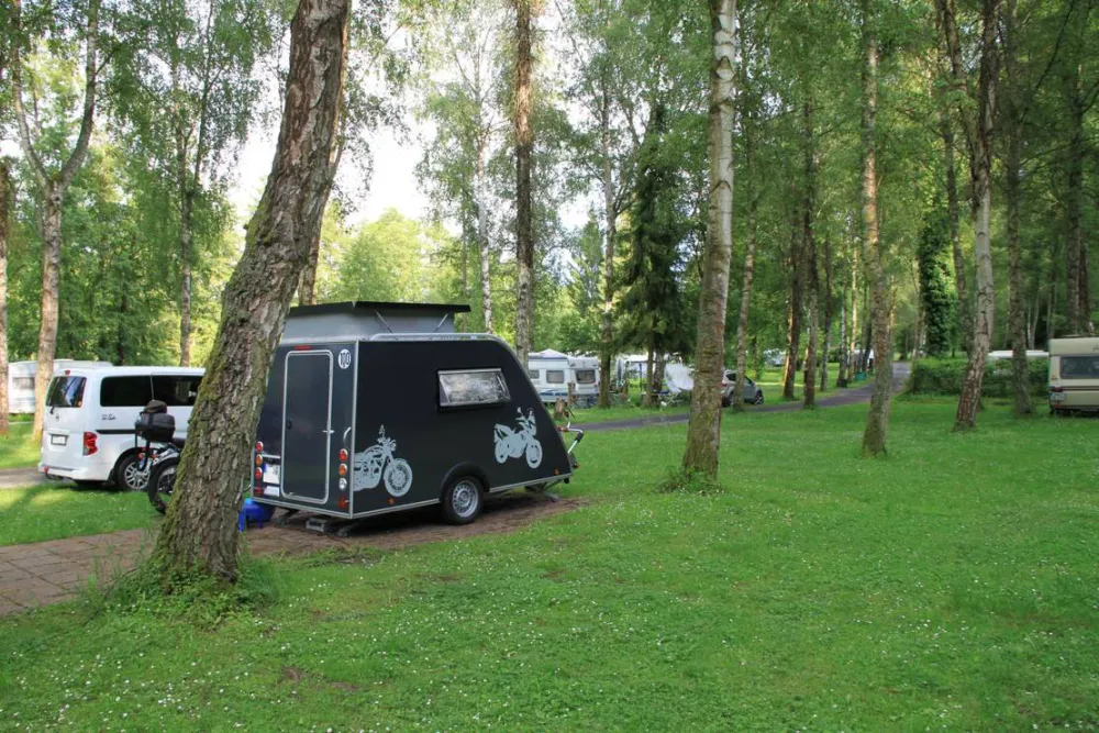 Camping Forelle