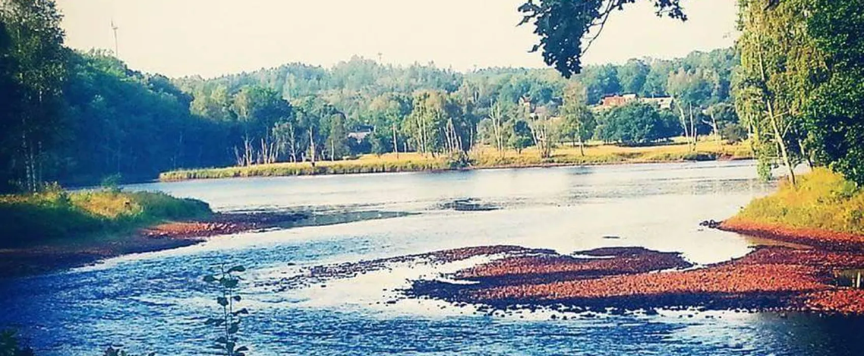 Flammabadets Camping