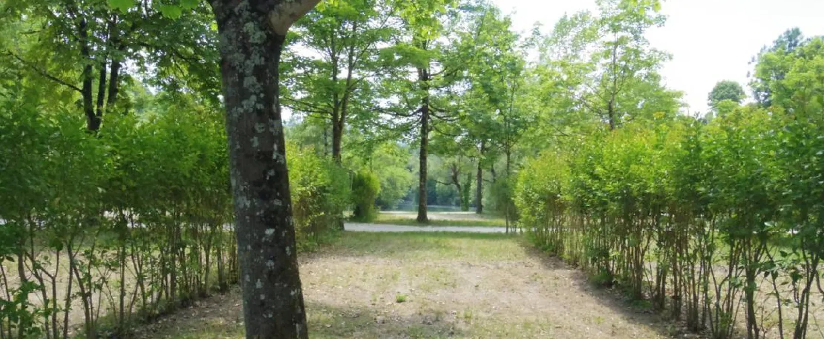 Camping Municipal - Pont en Royans