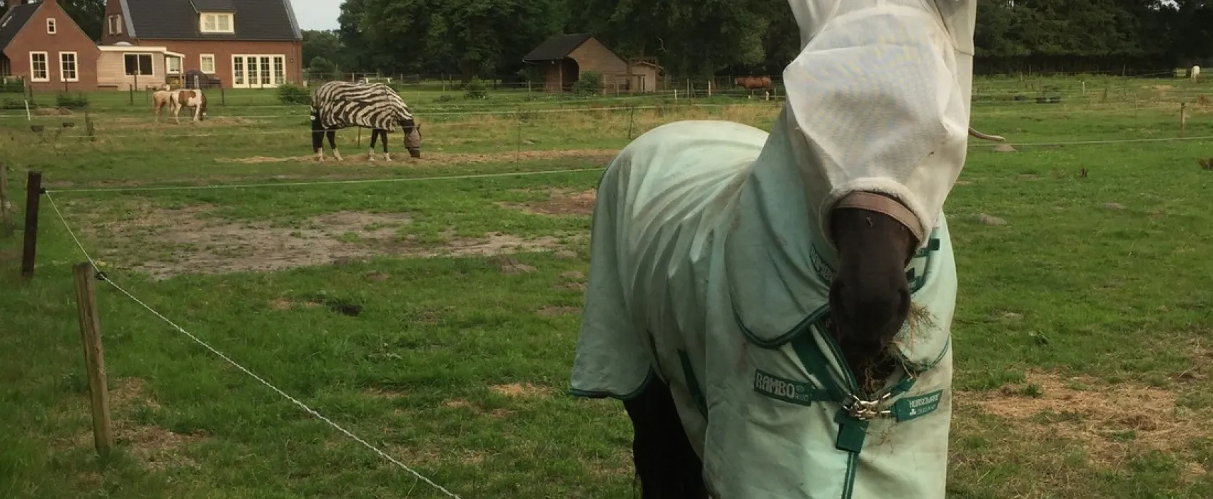 Minicamping Jagtlust