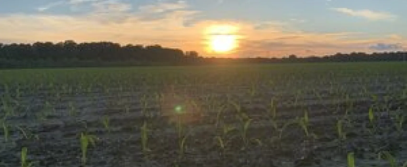 Rustic Acres Campground