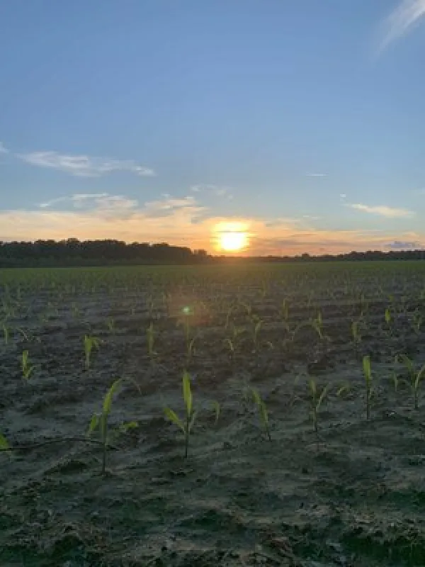 Rustic Acres Campground