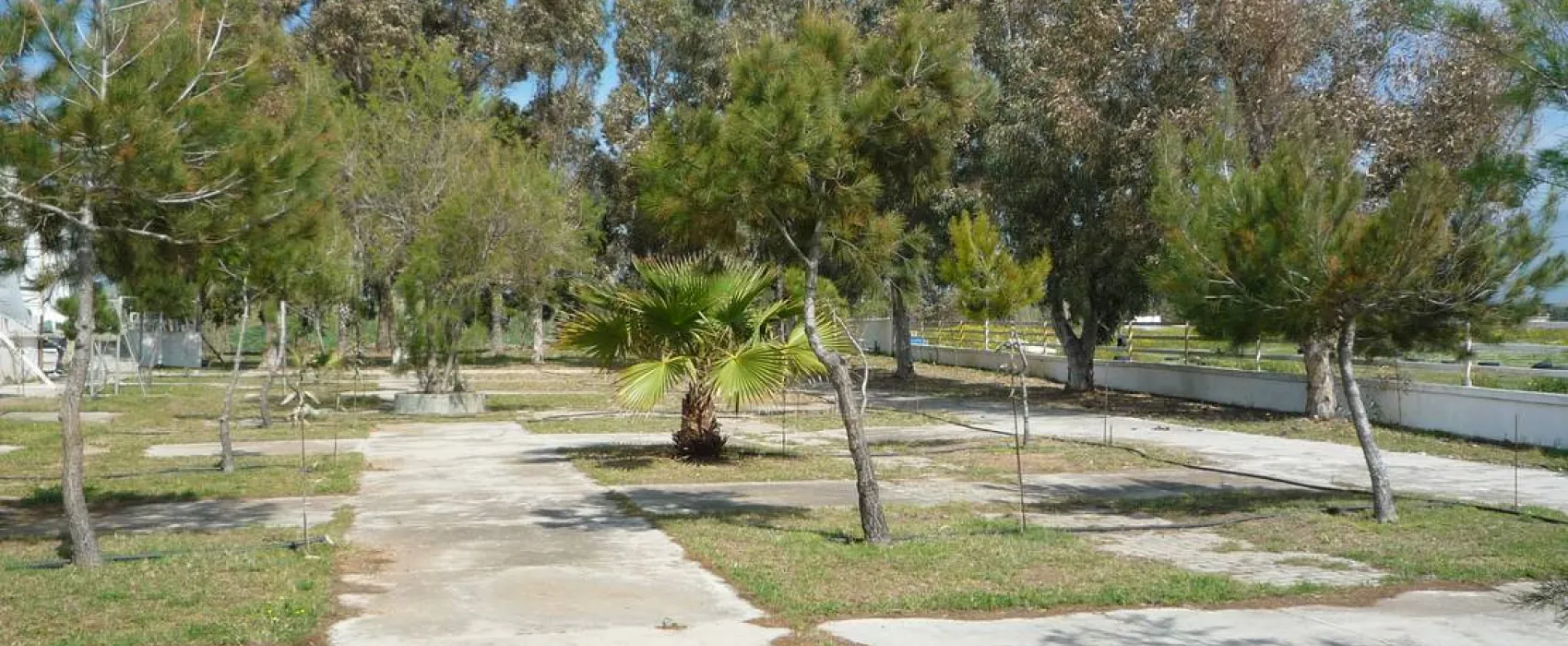 Golden Coast Camping